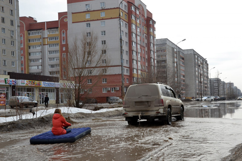 Свежая подборка автоприколов