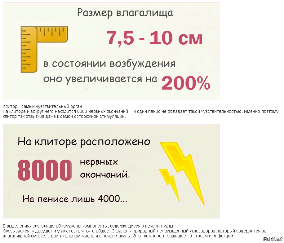 Из солянки