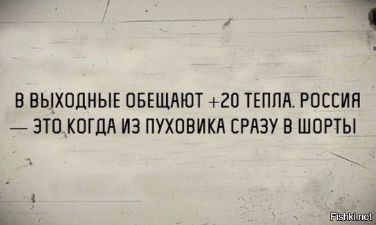 Из солянки
