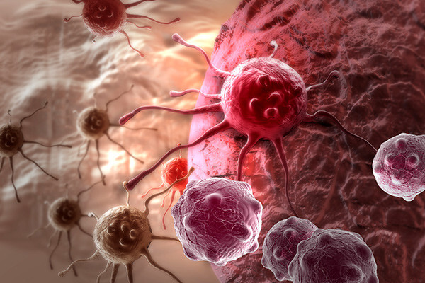 Ученые взломали код раковой опухоли
