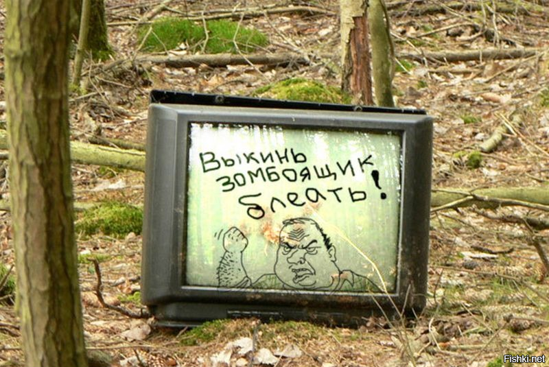 Из солянки