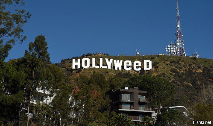 Вчера в Лос-Анджелесе кто-то изменил надпись Hollywood на Hollyweed (&quot;Св...
