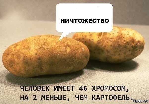 Я подавлен 