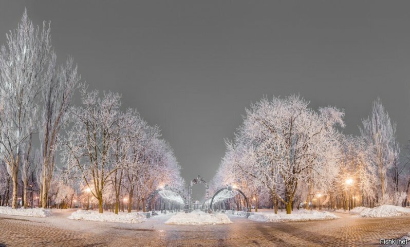 Солянка для Майдана. Часть 180