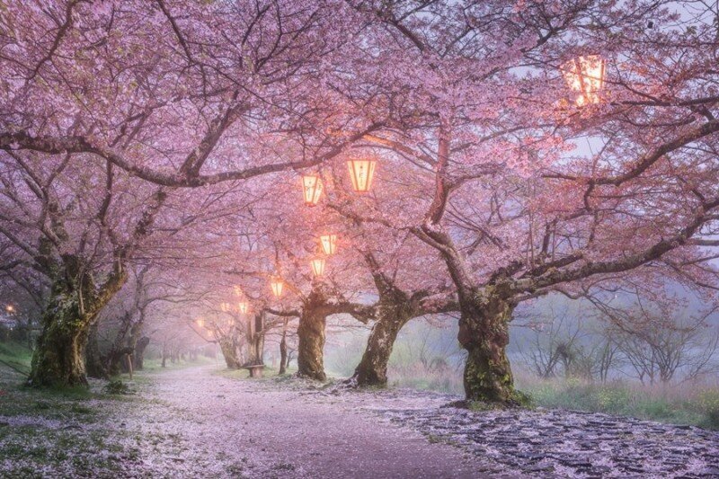 Фотопутешествие по Японии: весна, осень