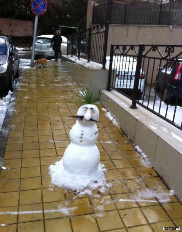 снеговик в Сочи