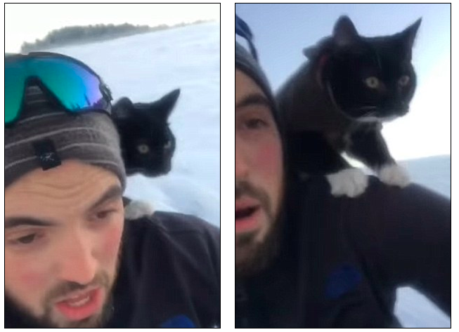Прокатиться с горки вместе с котиком — парень снял классное видео