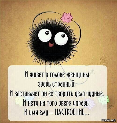 Из солянки