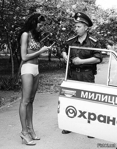 Из солянки