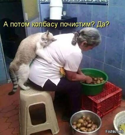 Из солянки