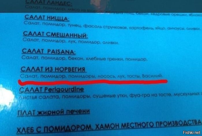 Из солянки
