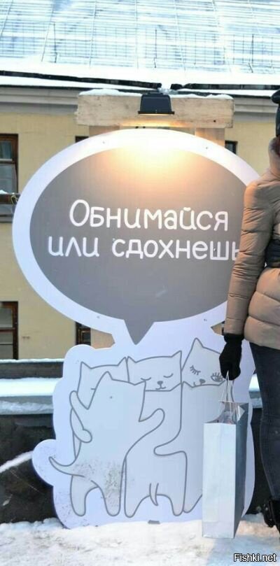 Из солянки
