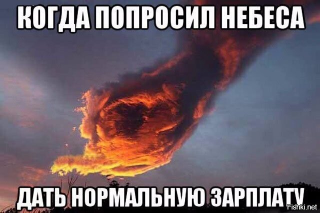 Из солянки