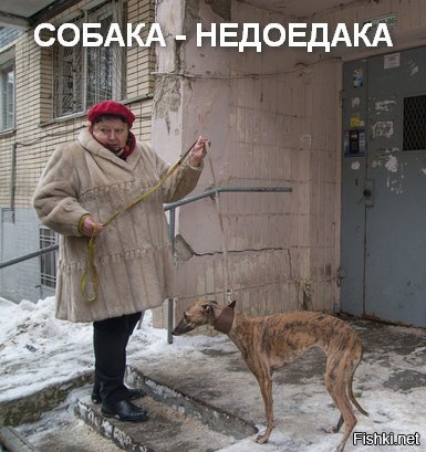 Из солянки