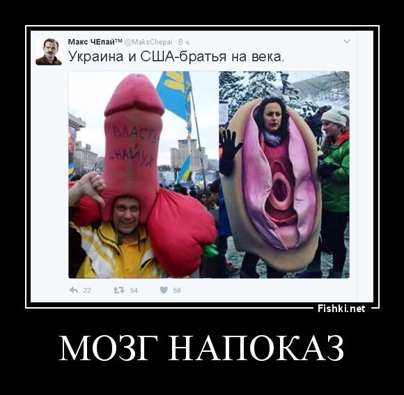 МОЗГ НАПОКАЗ