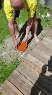 Дачная заначка