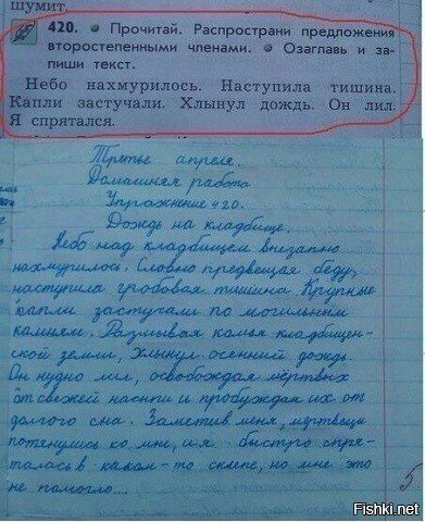 Из солянки