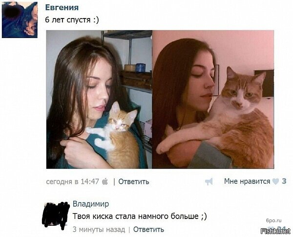 Из солянки
