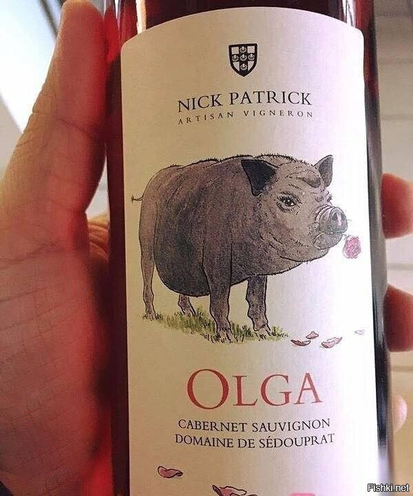 Из солянки