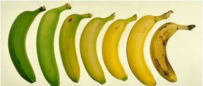  Свойства банана, о которых вы, скорее всего, не знали