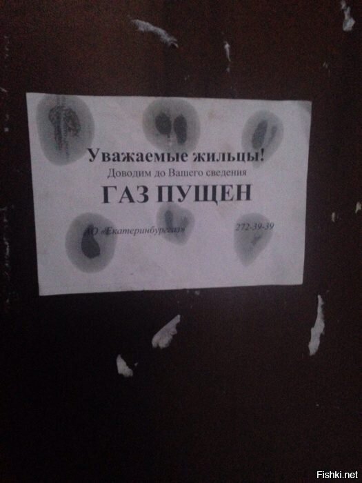Из солянки