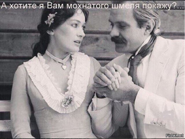 Из солянки