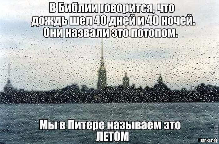 Из солянки