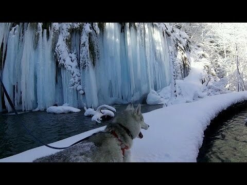  Прогулка с хаски в красивейшем парке "плитвицкие озёра"