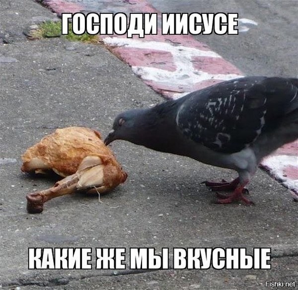 Из солянки