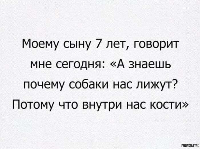 Из солянки