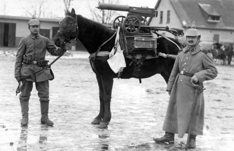 Животные на Первой Мировой войне