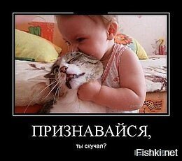 Из солянки