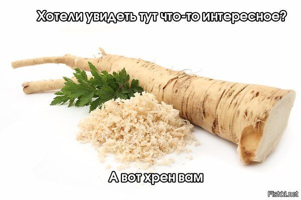 Из солянки