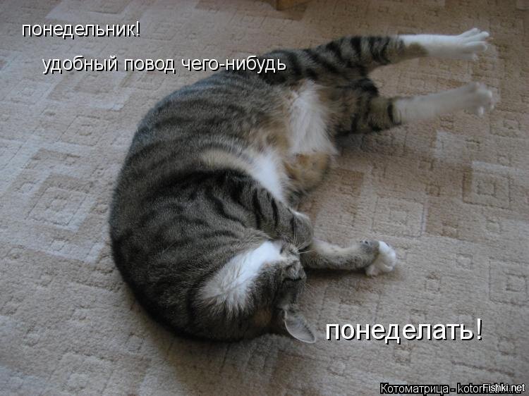 Из солянки