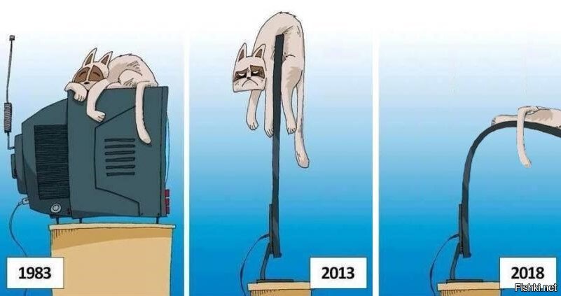 Эволюция отношений кота и телевизора