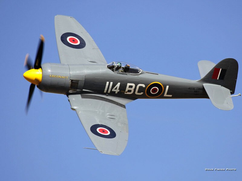 Sea Fury