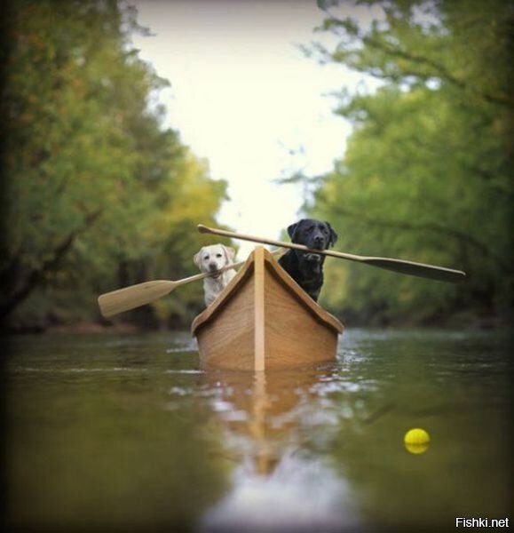Те самые Гребибля и Гребубля