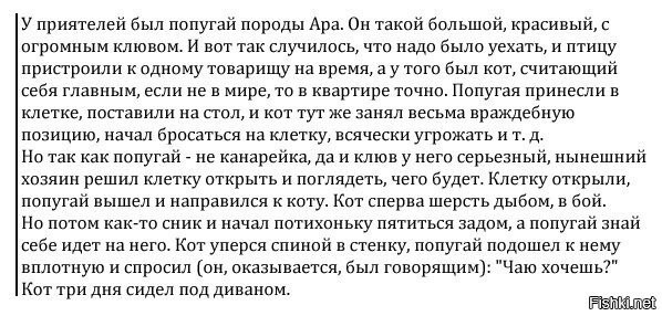Попалось на просторах инета)))
