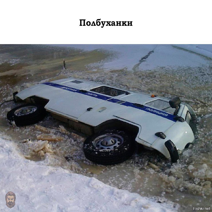 Из солянки