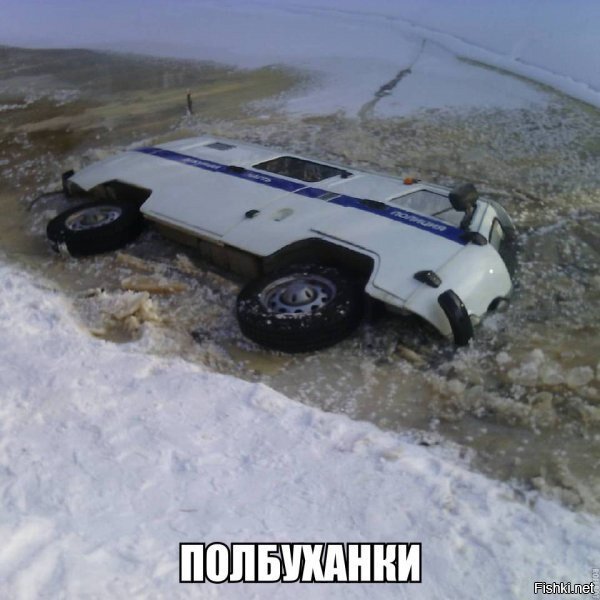 Из солянки