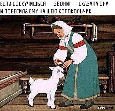 Из солянки