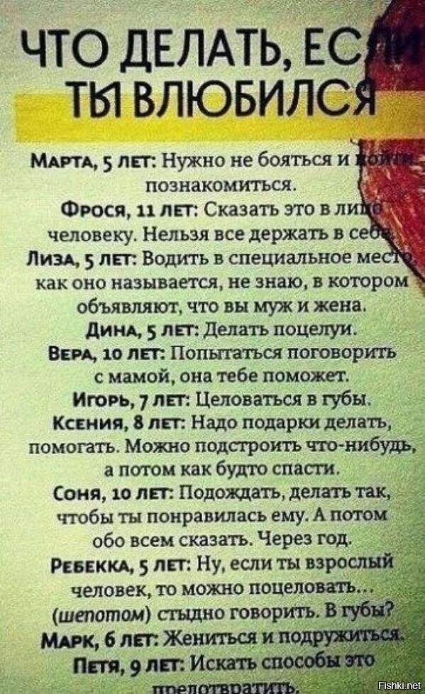 Из солянки