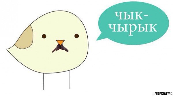Из солянки