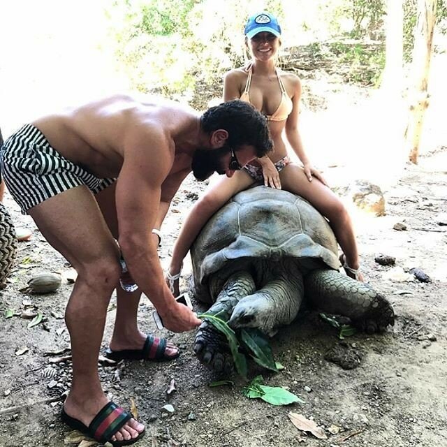 "Король "Инстаграма" ради лайков посадил девушку в бикини на 100-летнюю черепаху
