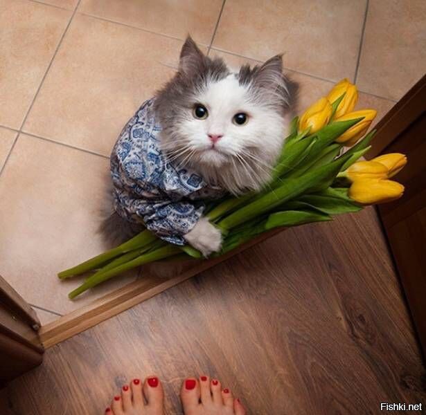 С праздником