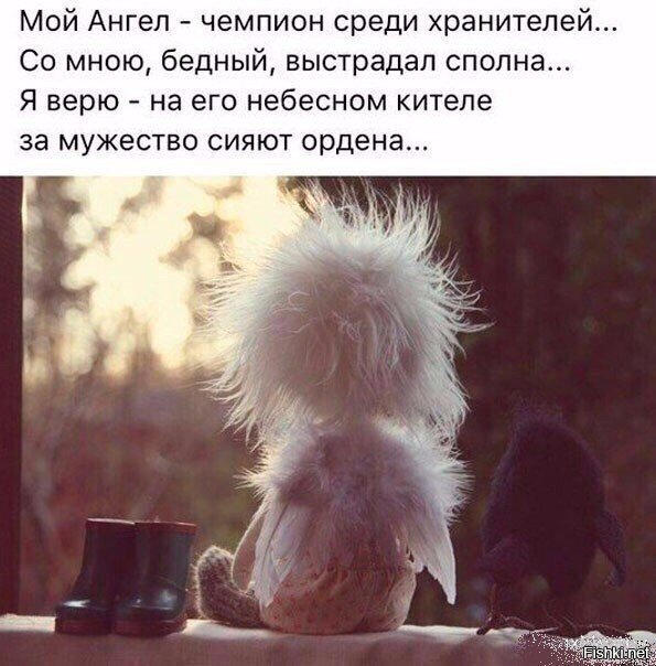 Из солянки