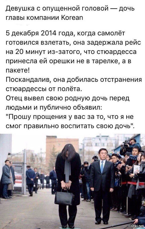 Из солянки