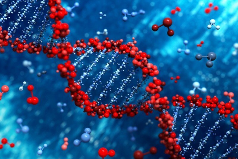 Взломщик ДНК: микробиолог поставил генетический эксперимент над собой