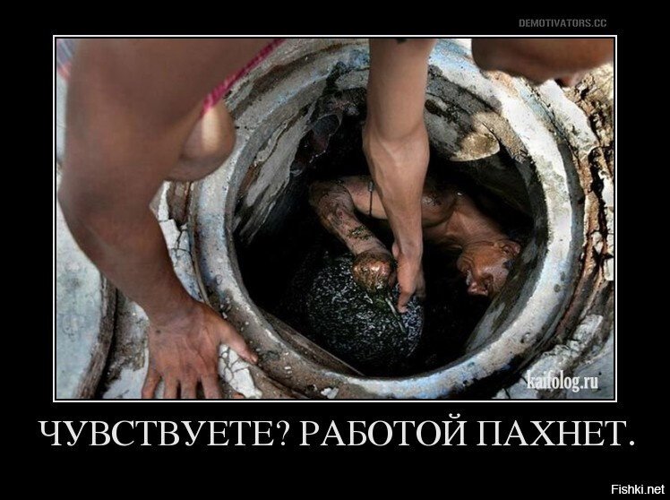 Из солянки