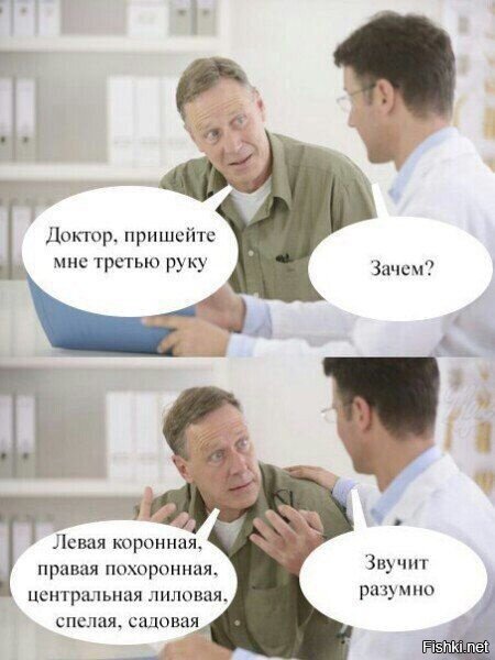 Из солянки